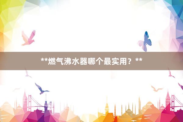 **燃气沸水器哪个最实用？**