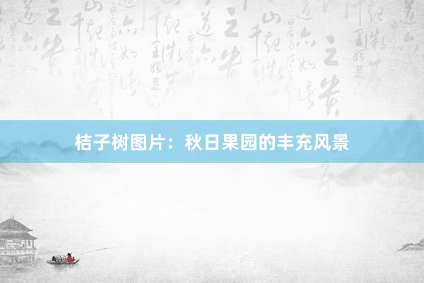 桔子树图片：秋日果园的丰充风景