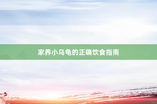 家养小乌龟的正确饮食指南